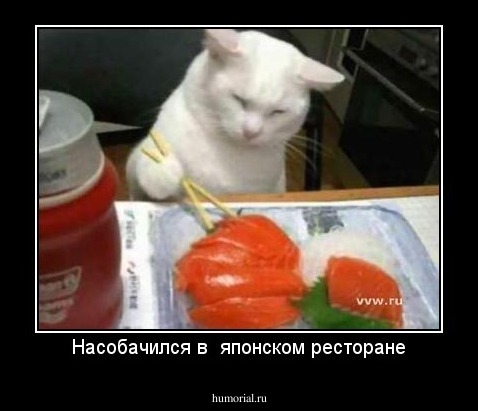 Насобачился в  японском ресторане