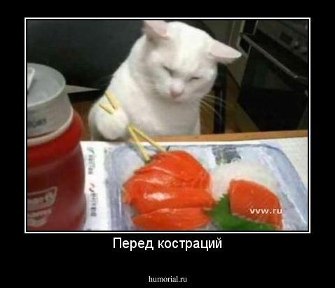 Перед костраций