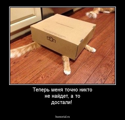 Теперь меня точно никто не найдет, а то достали!