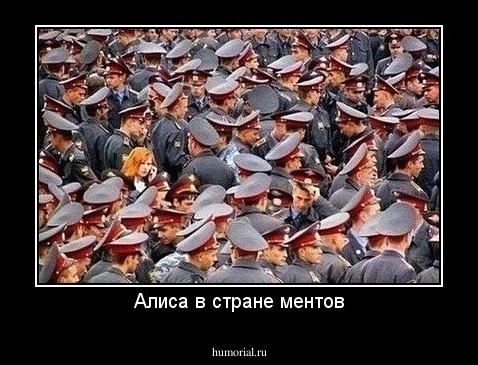 Алиса в стране ментов