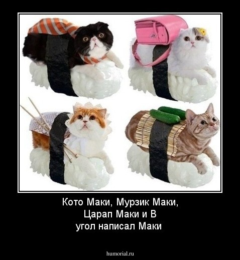 Кото Маки, Мурзик Маки, Царап Маки и
 В угол написал Маки