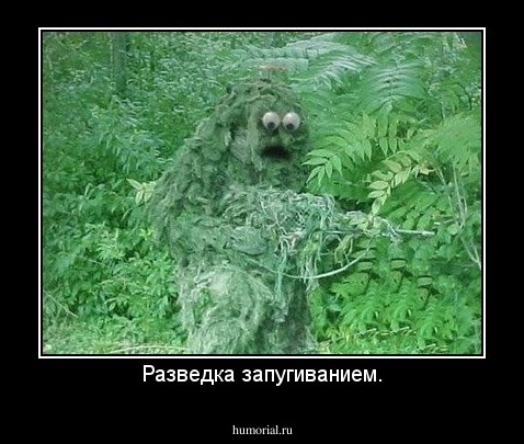 Разведка запугиванием.