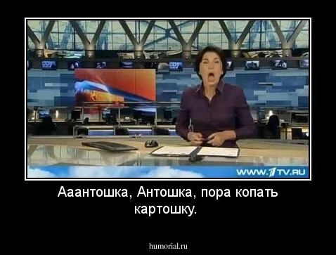 Ааантошка, Антошка, пора копать картошку.