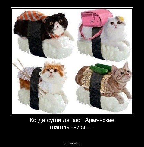 Когда суши делают Армянские шашлычники....