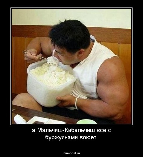 а Мальчиш-Кибальчиш все с буржуинами воюет
