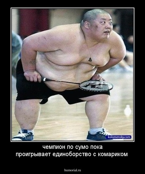 чемпион по сумо пока проигрывает единоборство с комариком