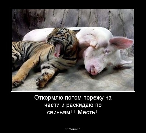 Откормлю потом порежу на части и раскидаю по свиньям!!! Месть!