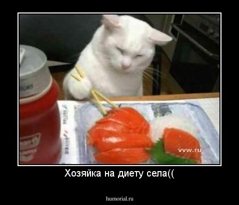 Хозяйка на диету села((
