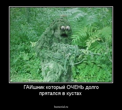 ГАИшник который ОЧЕНЬ долго прятался в кустах