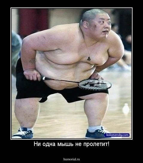 Ни одна мышь не пролетит!