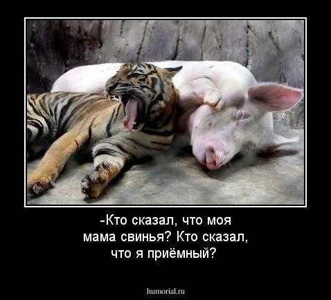 -Кто сказал, что моя мама свинья? Кто сказал, что я приёмный?