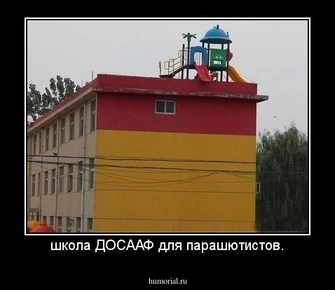 школа ДОСААФ для парашютистов.