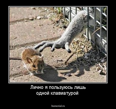 Лично я пользуюсь лишь одной клавиатурой 