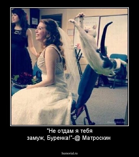 "Не отдам я тебя замуж, Буренка!"-@ Матроскин