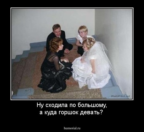 Ну сходила по большому, а куда горшок девать?