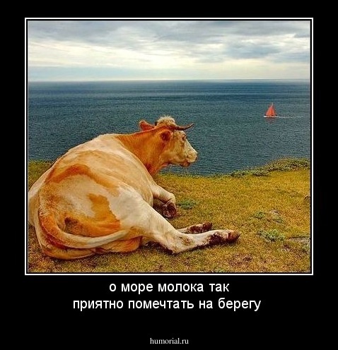 о море молока так приятно помечтать на берегу