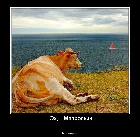 - Эх,.. Матроскин.