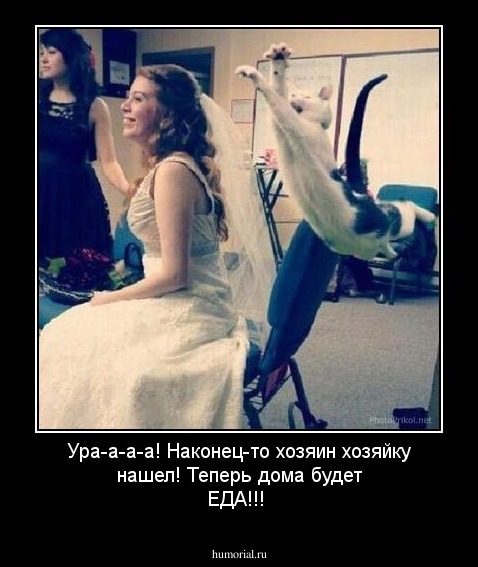 Ура-а-а-а! Наконец-то хозяин хозяйку нашел!
Теперь дома будет ЕДА!!!