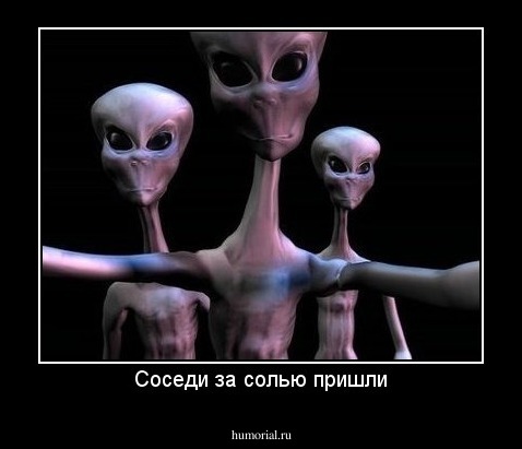 Соседи за солью пришли