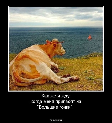 Как же я жду, когда меня приласят на "Большие гонки".