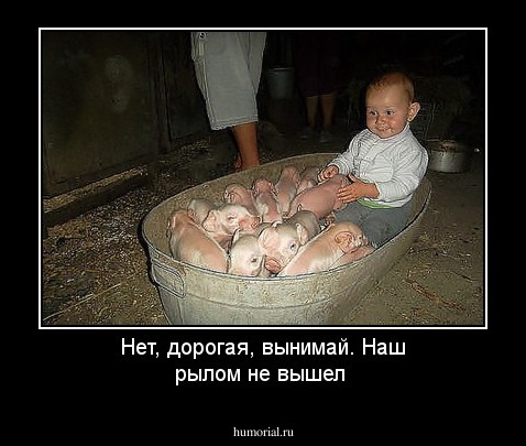 Нет, дорогая, вынимай. Наш рылом не вышел