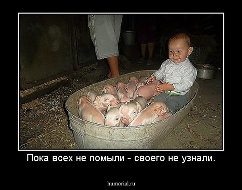 Пока всех не помыли - своего не узнали.