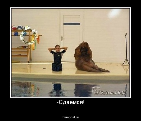 -Сдаемся!