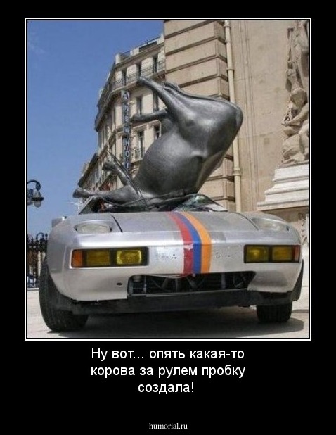 Ну вот... опять какая-то корова за рулем пробку создала!