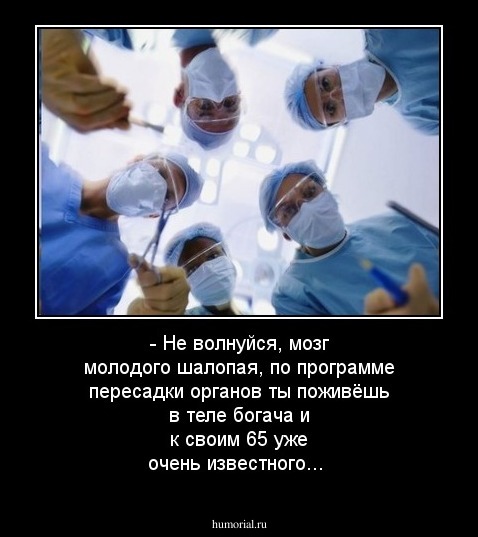 - Не волнуйся, мозг молодого шалопая, по программе  пересадки органов ты поживёшь в теле  богача и к своим 65 уже очень известного...