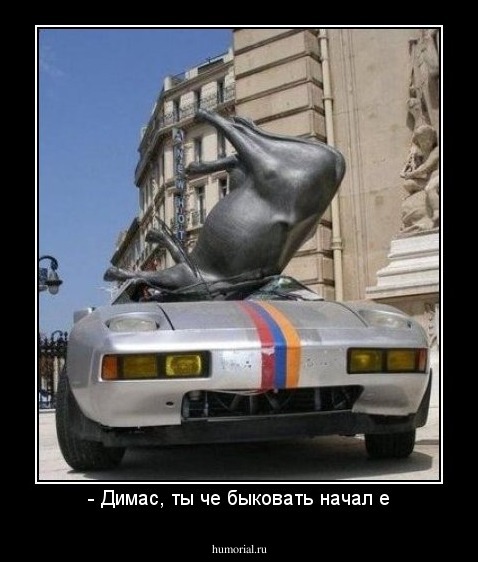 - Димас, ты че быковать начал е