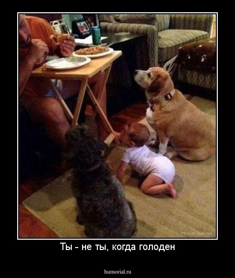 Ты - не ты, когда голоден