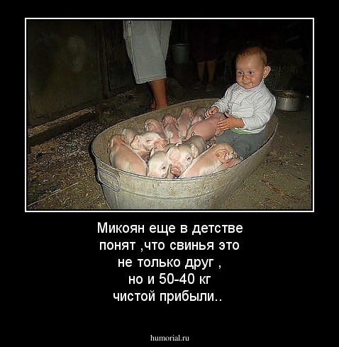 Микоян еще в детстве понят ,что свинья это не только друг , но и 50-40 кг чистой прибыли..