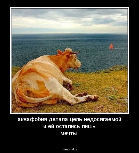 аквафобия делала цель недосягаемой и ей остались лишь мечты 