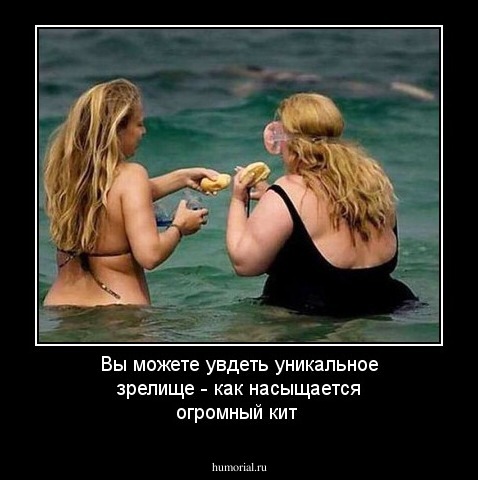 Вы можете увдеть уникальное зрелище - как насыщается огромный кит