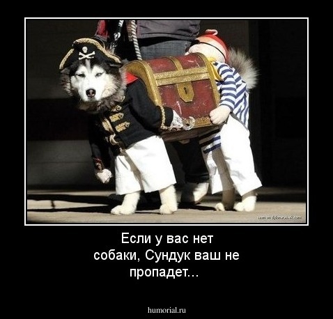 Если у вас нет собаки, Сундук ваш не пропадет...