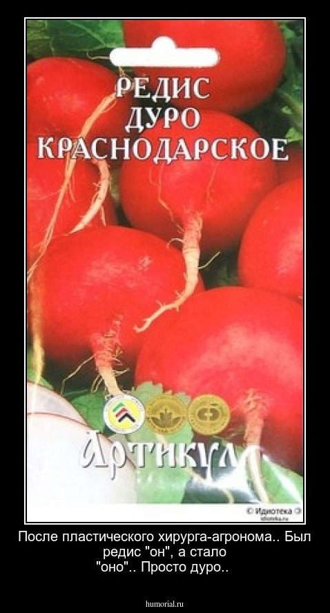 После пластического хирурга-агронома.. Был редис "он", а стало "оно".. Просто дуро..