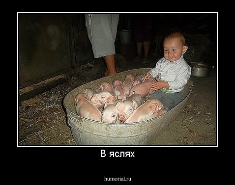 В яслях