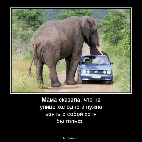 Мама сказала, что на улице холодно и нужно взять с собой хотя бы гольф.