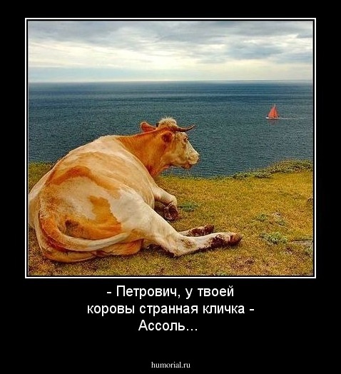 - Петрович, у твоей коровы странная кличка - Ассоль...