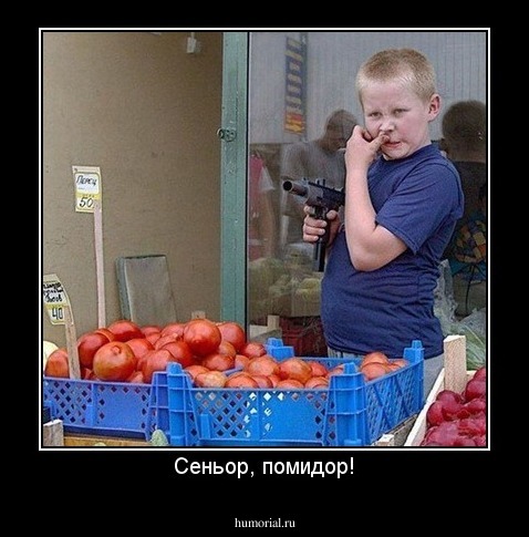 Сеньор, помидор!