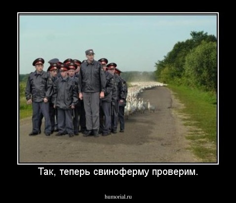 Так, теперь свиноферму проверим.