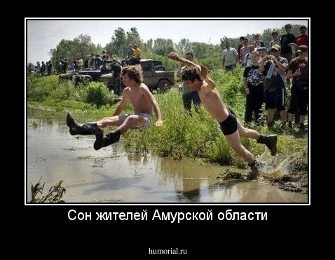 Сон жителей Амурской области