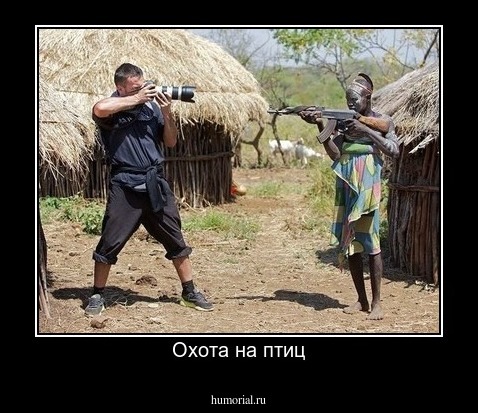 Охота на птиц