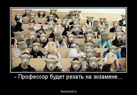 - Профессор будет резать на экзамене...