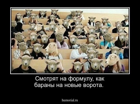 Смотрят на формулу, как бараны на новые ворота.