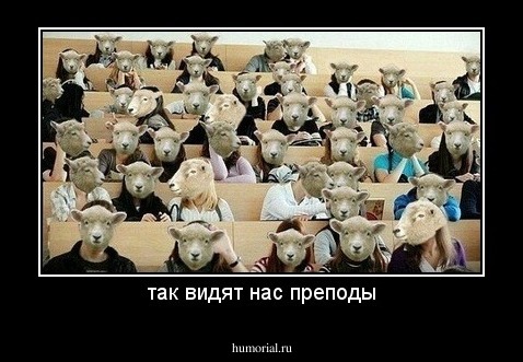 так видят нас преподы