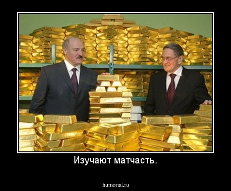 Изучают матчасть.