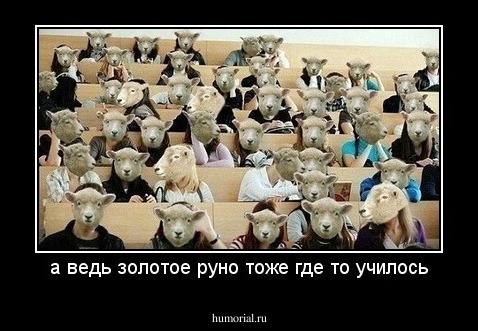 а ведь золотое руно тоже где то училось