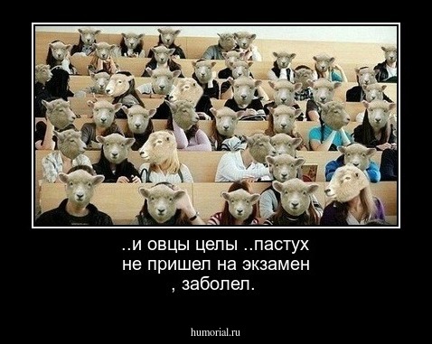 ..и овцы целы ..пастух не пришел на экзамен , заболел.