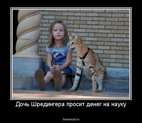 Дочь Шредингера просит денег на науку